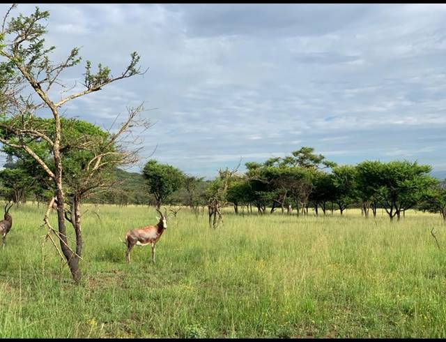 LAND FOR SALE IN ALBERT FALLS